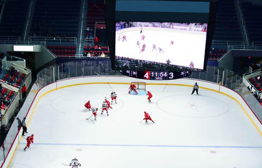 Grand Rapids Griffins at Springfield Thunderbirds