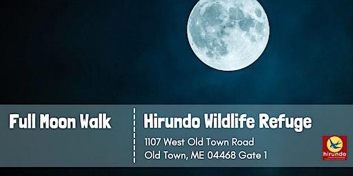 Hirundo Full Moon Walk