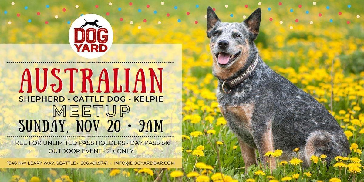 Aussie Meetup at the Dog Yard Bar  - Sunday, November 20