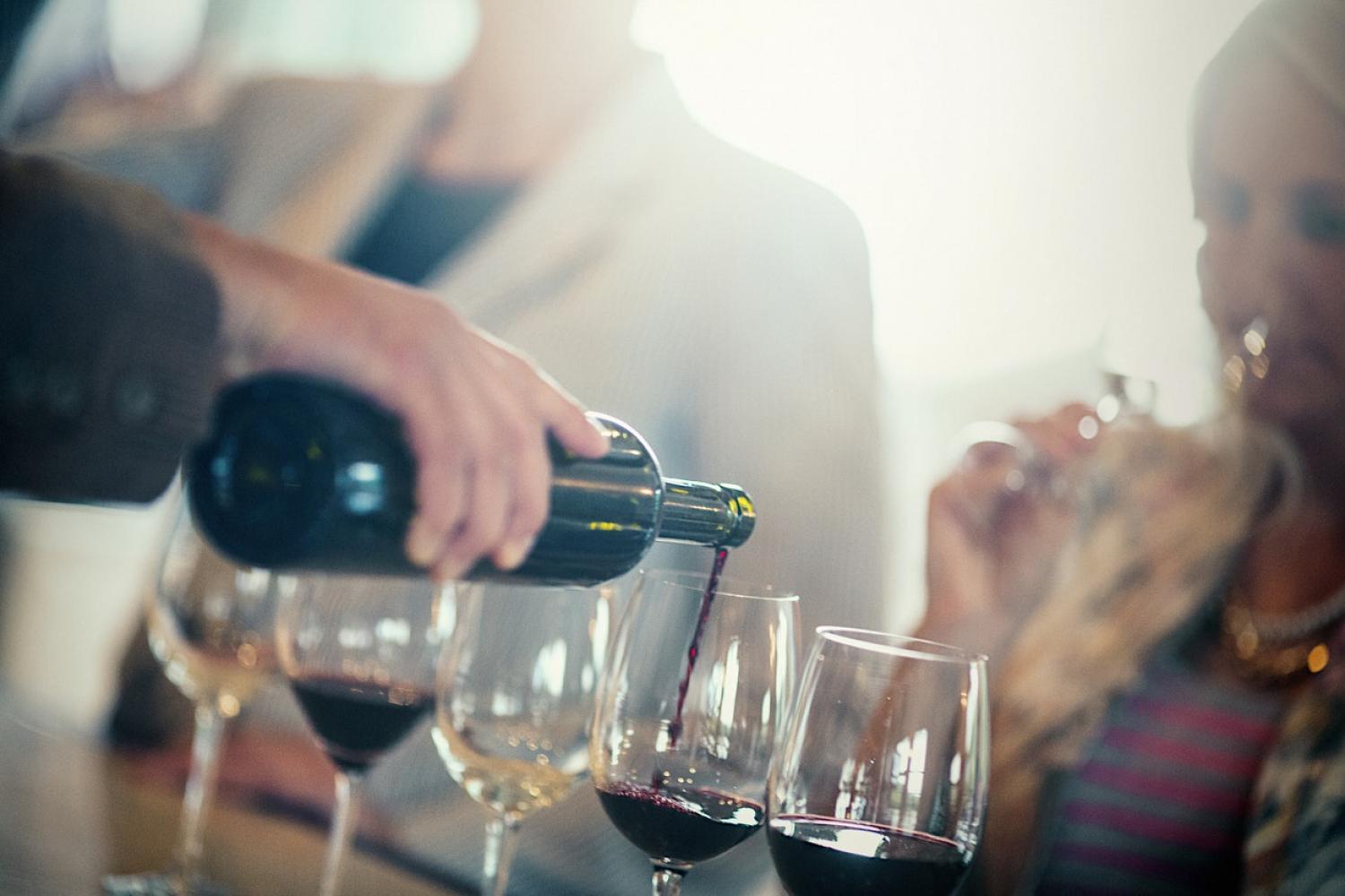 Wine Tasting Experience | MILA Family Vineyards