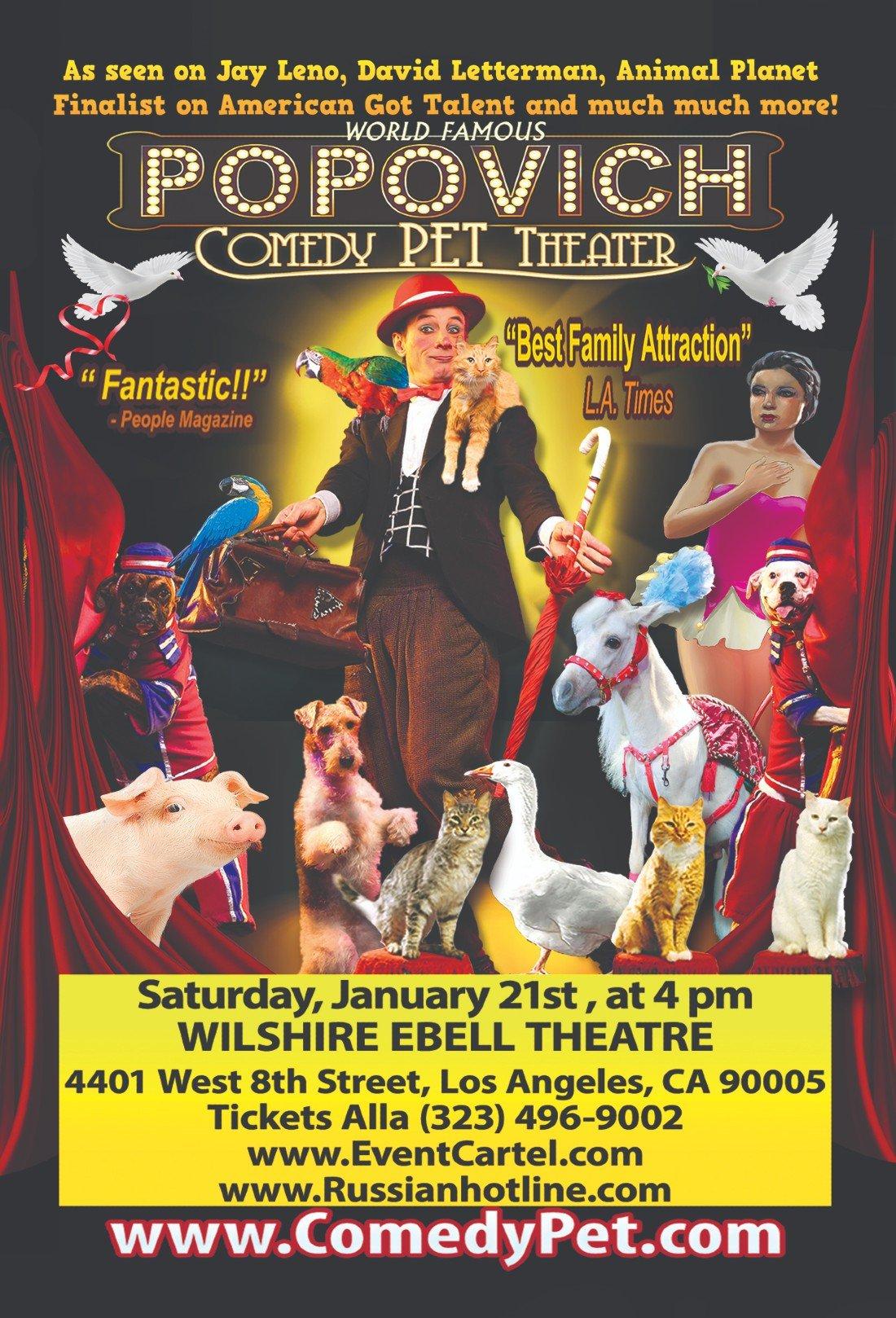 POPOVICH Comedy PET Theatre