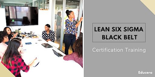 Lean Six Sigma Black Belt 4 Days Classroom  Training in Lewiston, ME