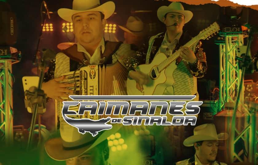 ARLEY PEREZ, LOS CAIMANES DE SINALOA Y MAS