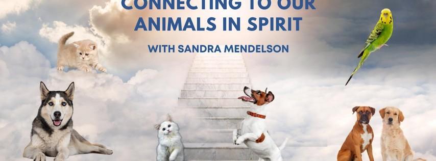 Connecting to Our Animals in Spirit with Sandra Mendelson