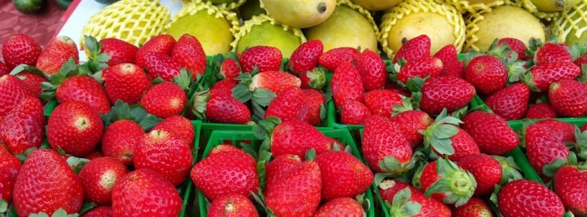 Rookery Bay Farmers Market South Collier