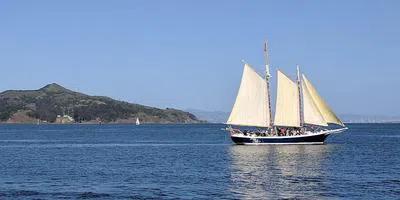 Fourth of July Afternoon Sail on San Francisco Bay