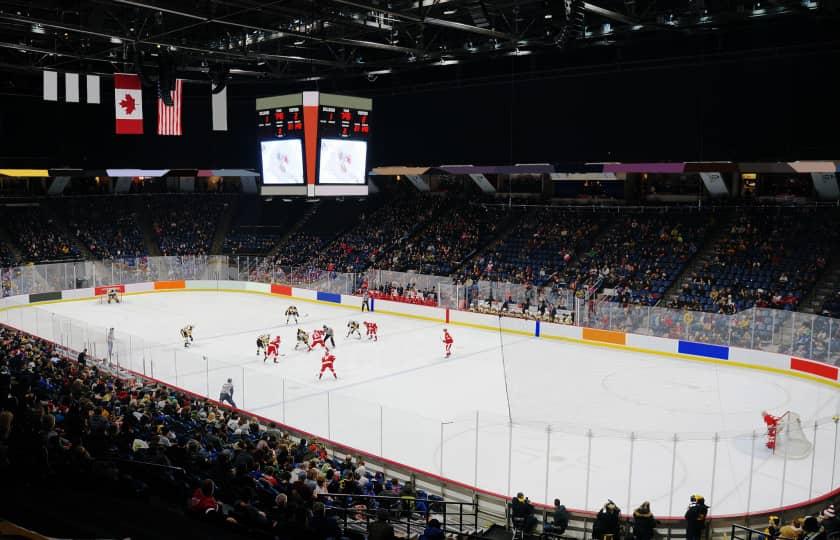 Kingston Frontenacs at Brantford Bulldogs