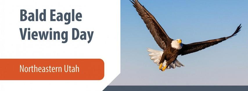 Bald Eagle Viewing Day - Northeastern Utah