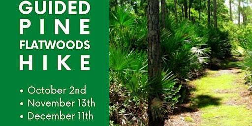 Guided Hike with Florida Master Naturalist Paul Strauss