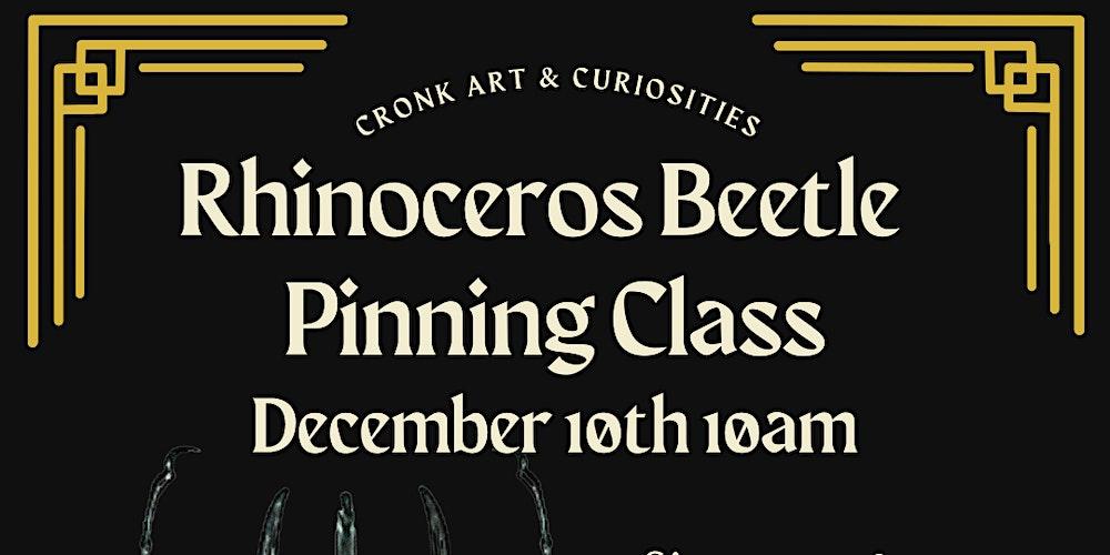 Rhinoceros Beetle Pinning Class