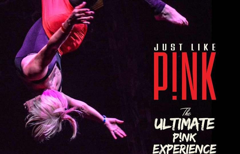 Just Like PiNK: The PINK Experience