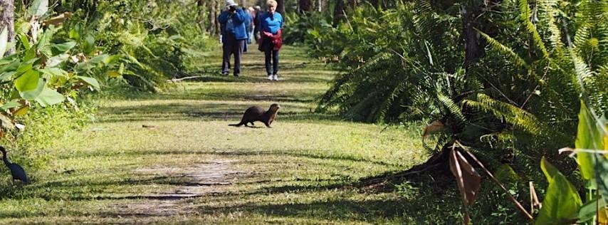 Hike the CREW Bird Rookery Swamp