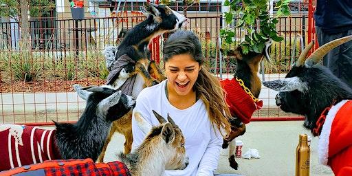 New Year's Day Goat Yoga Dallas!