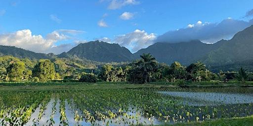 Yoga at the Farmers' Market in Hanalei, Hawaii