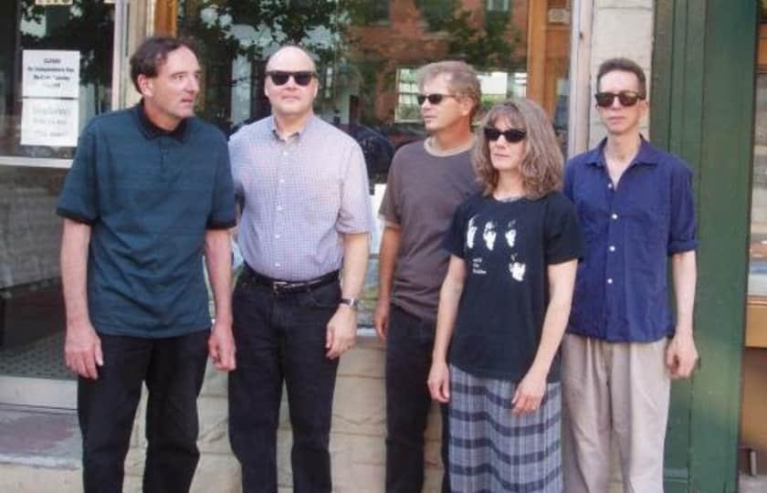 The Feelies