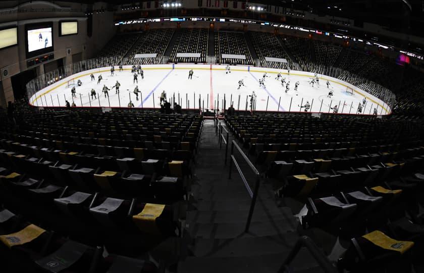 San Diego Gulls at Ontario Reign