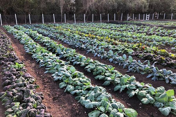 Eden East Farm Stand