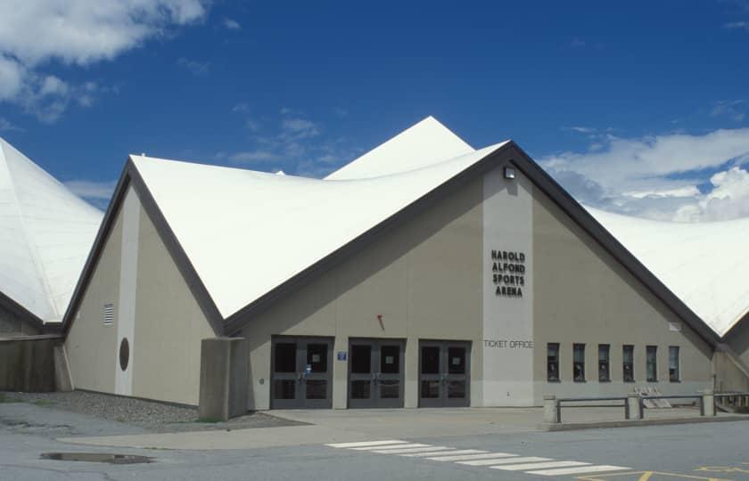 Quinnipiac Bobcats at Maine Black Bears Men's Hockey