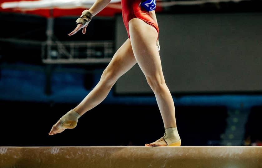 Michigan State Spartans at Nebraska Cornhuskers Women's Gymnastics