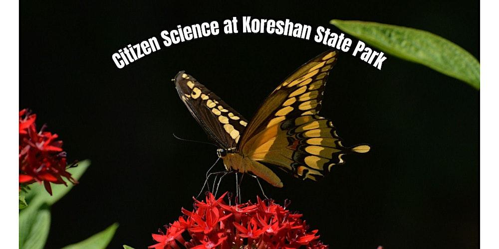 Citizen Science - Butterflies