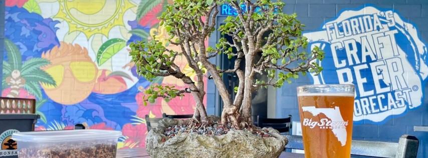 Bonsai and Brews at Big Storm Brewing