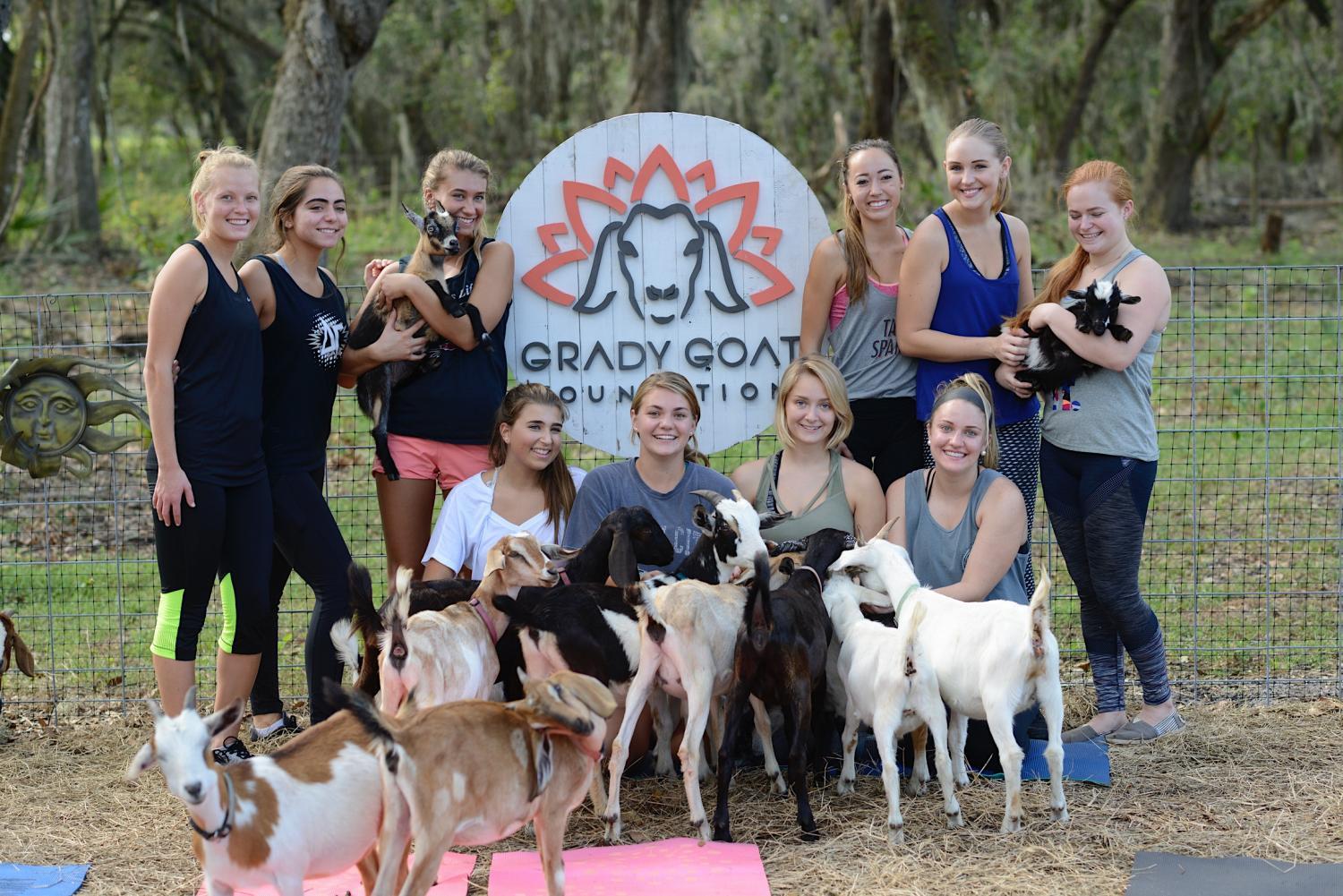 Grady Goat Yoga Tampa Bay