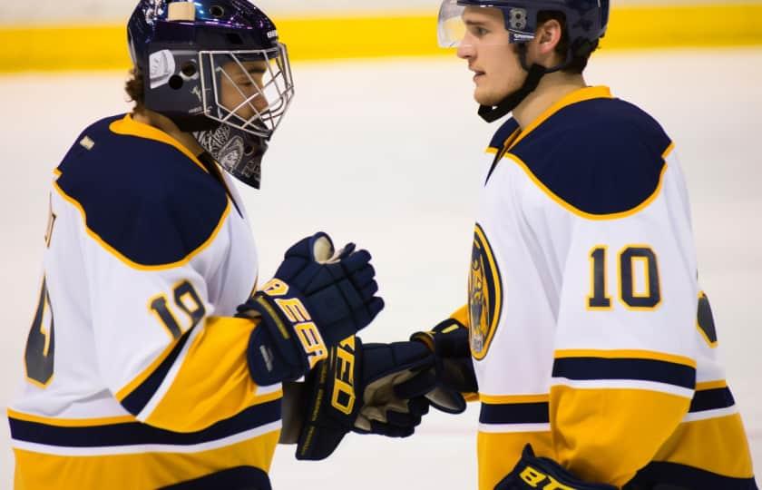 Harvard Crimson at Quinnipiac Bobcats Men's Hockey