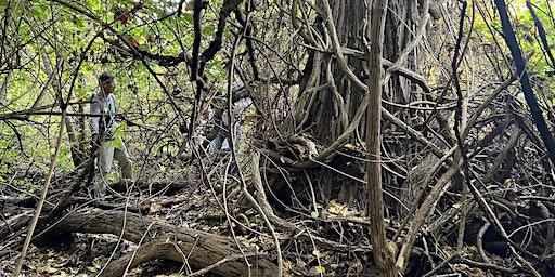 Cleanup at V.E. Macy Park