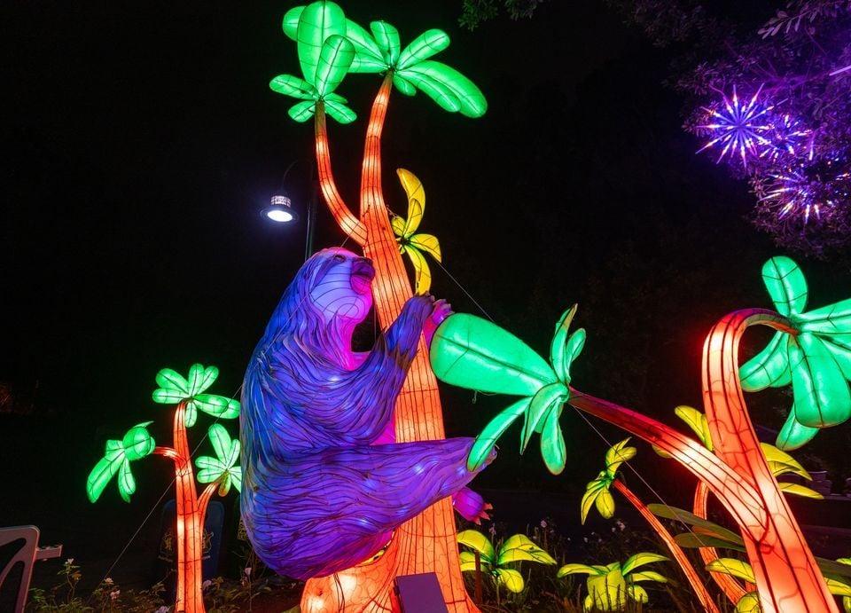 L.A. Zoo Lights: Animals Aglow