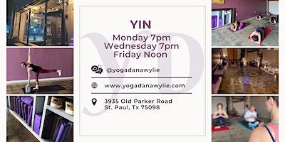 Yin Yoga ~ Relax and Stretch