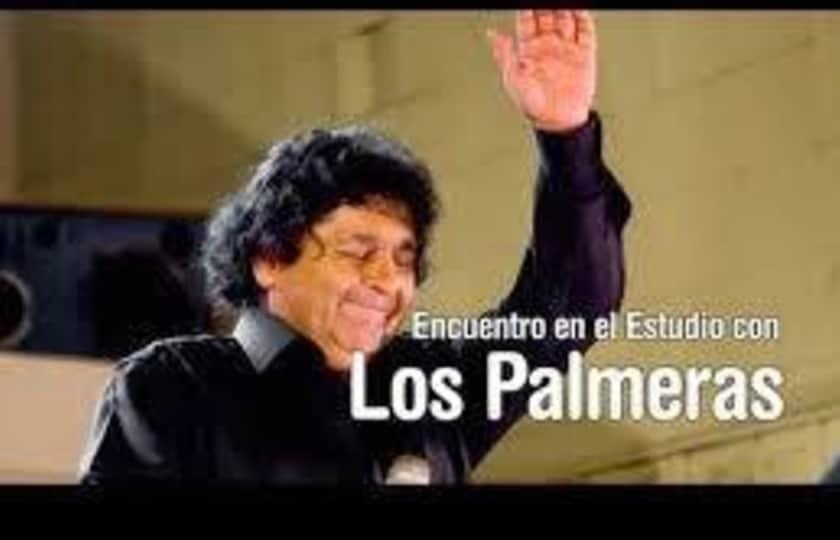 LOS PALMERAS EN CONCIERTO !