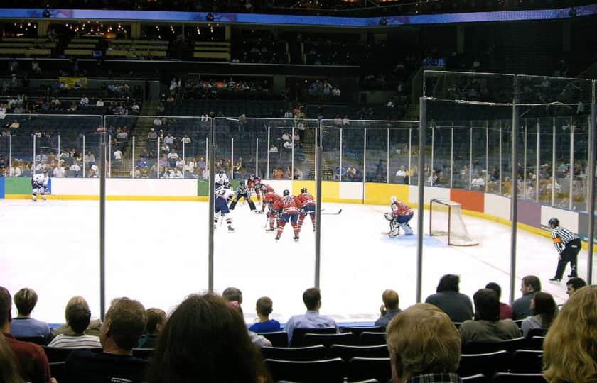 Florida Everblades at South Carolina Stingrays