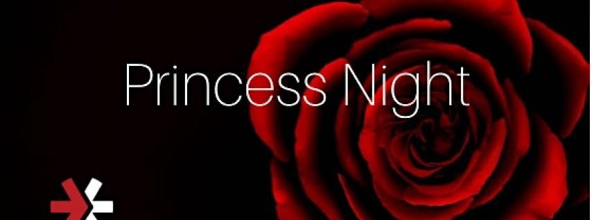 New 2022 princess nights