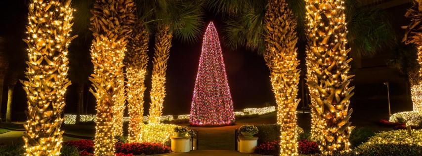 The Annual Ritz-Carlton Christmas Tree Lighting Benefiting Nassau County