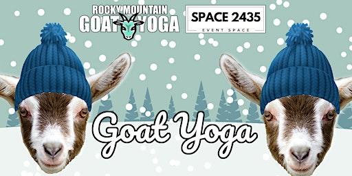 Baby Goat Yoga - December 11th (SPACE2435)