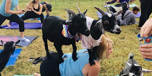 Goat Yoga on the Farm - Rockwall