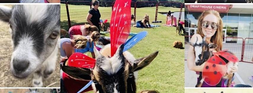 Halloween Costume Goat Yoga Fort Worth!