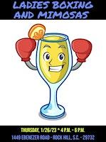 Boxing and Mimosas @ Light Bright Boxing: 1/26/23