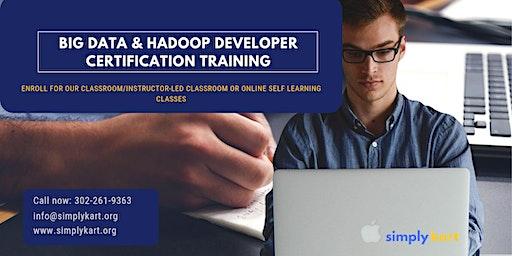 Big Data and Hadoop Developer Certification Training in Fort Pierce, FL