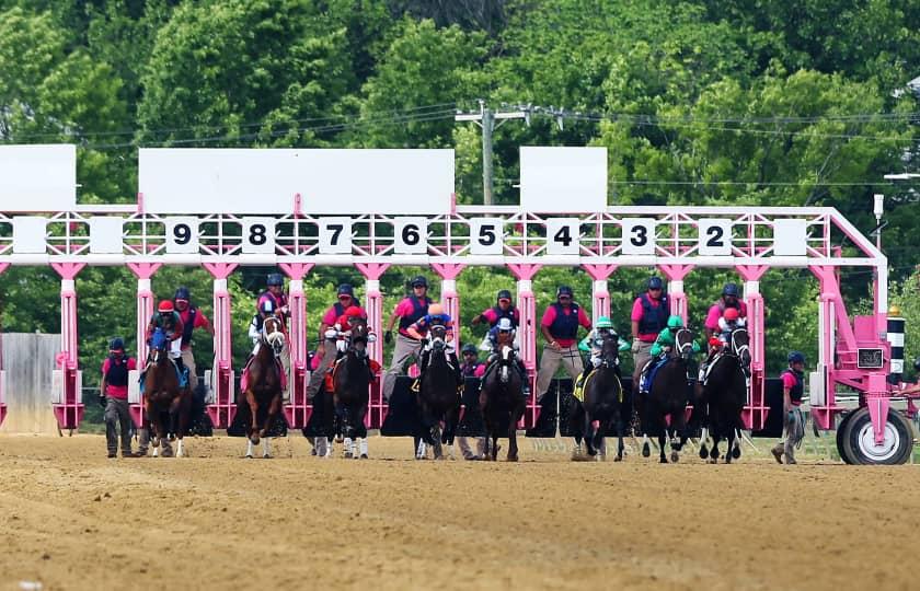 Black-Eyed Susan Stakes