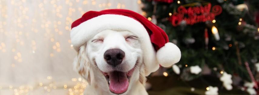 Bark and Brews with Santa