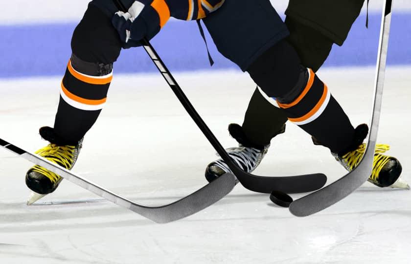 Air Force Falcons at Brown Bears Men's Hockey