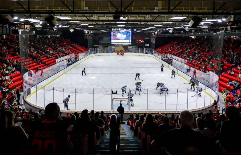 Brandon Wheat Kings vs. Regina Pats