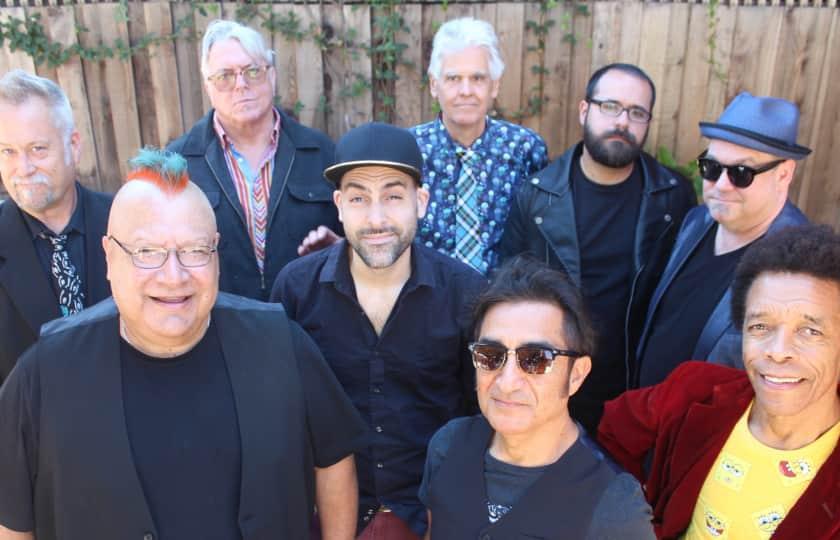 Oingo Boingo Former Members