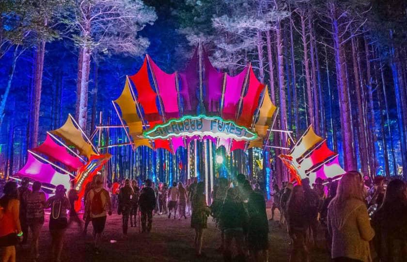 2025 Electric Forest Music Festival - Friday Only