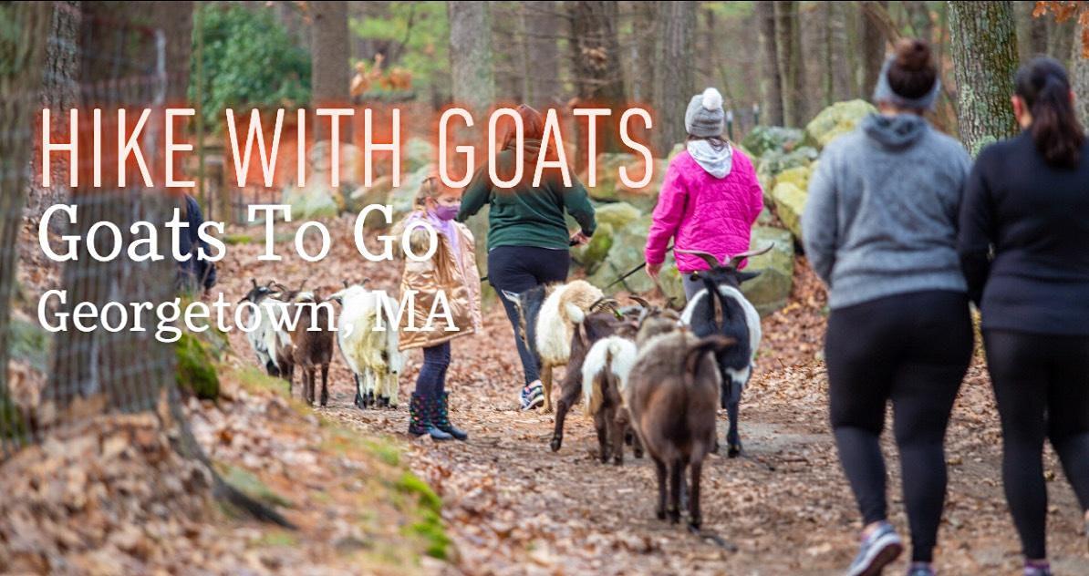 New Year's Eve Goat Hike