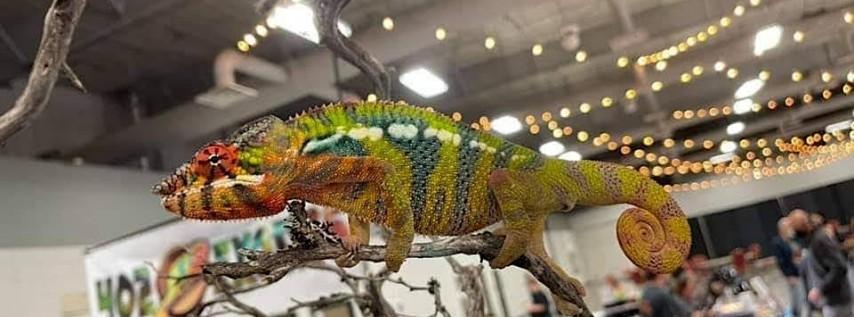 Orlando Reptile Expo - Show Me Reptile Show