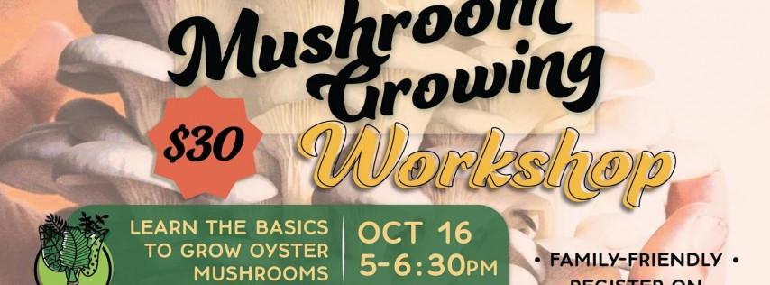 October—Beginner Oyster Mushroom Growing