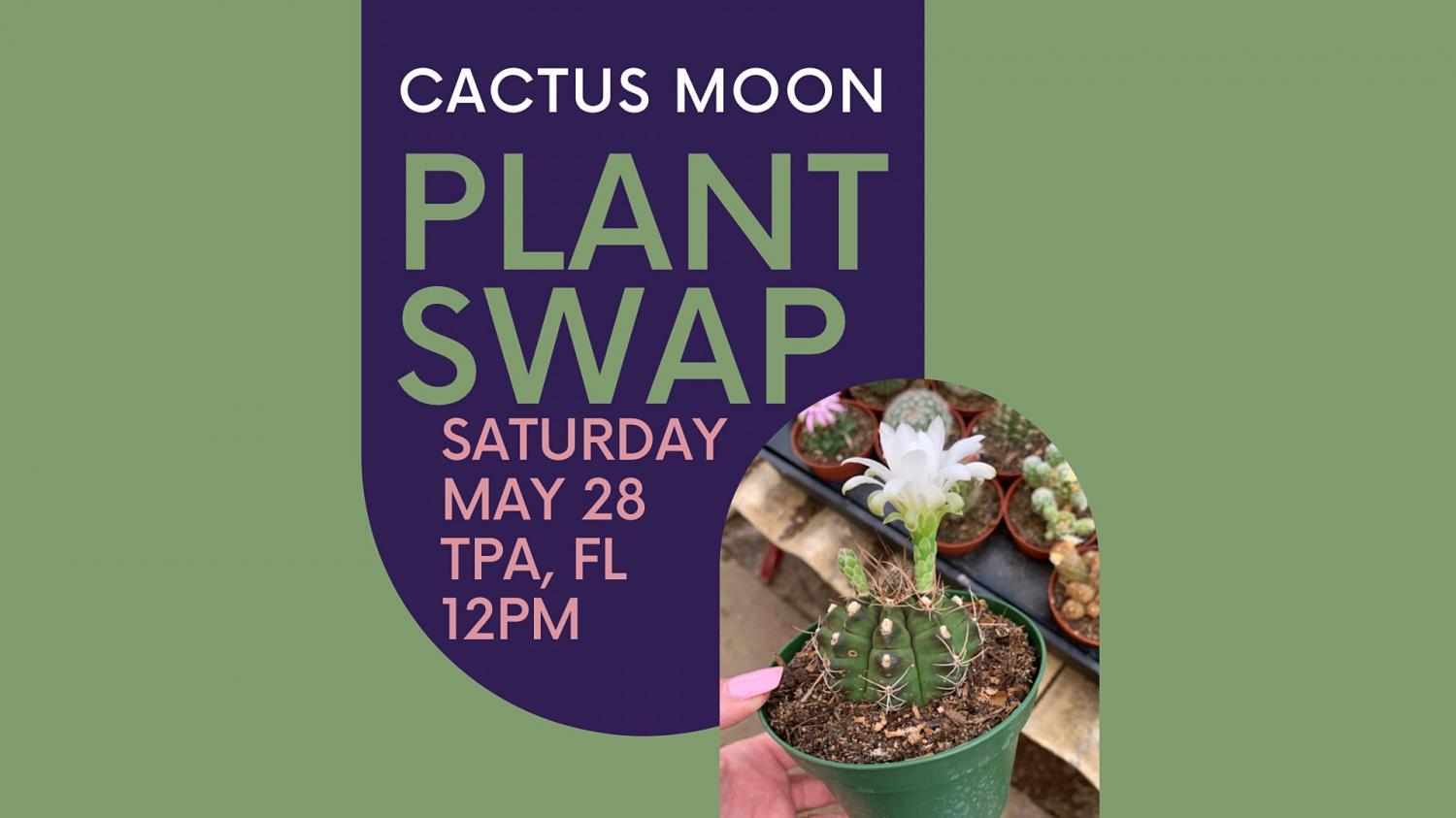 Tampa Plant Swap!