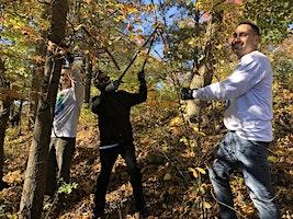 Invasive Plant Management at Cranberry Lake Preserve